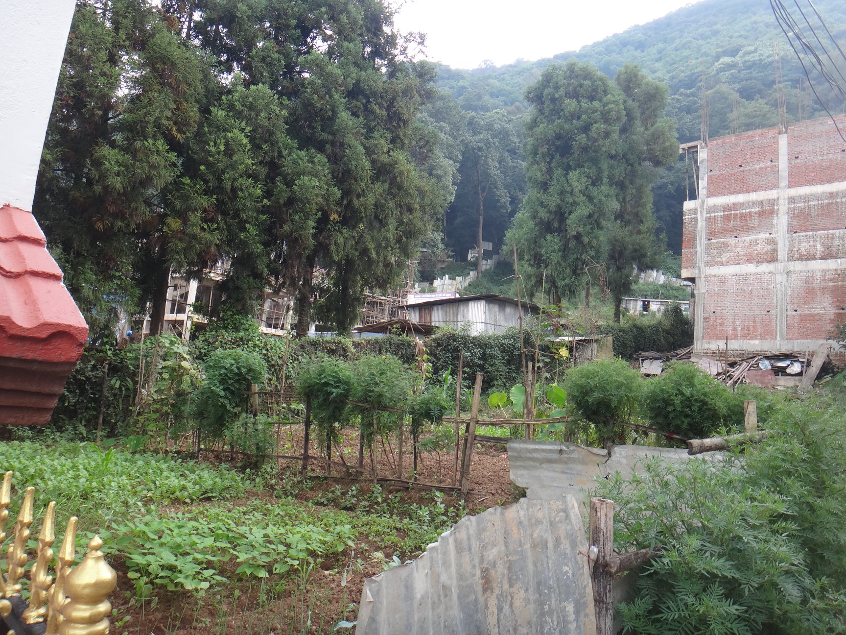 Picture of Tarkeshwor  Municipality, Bagmati Province