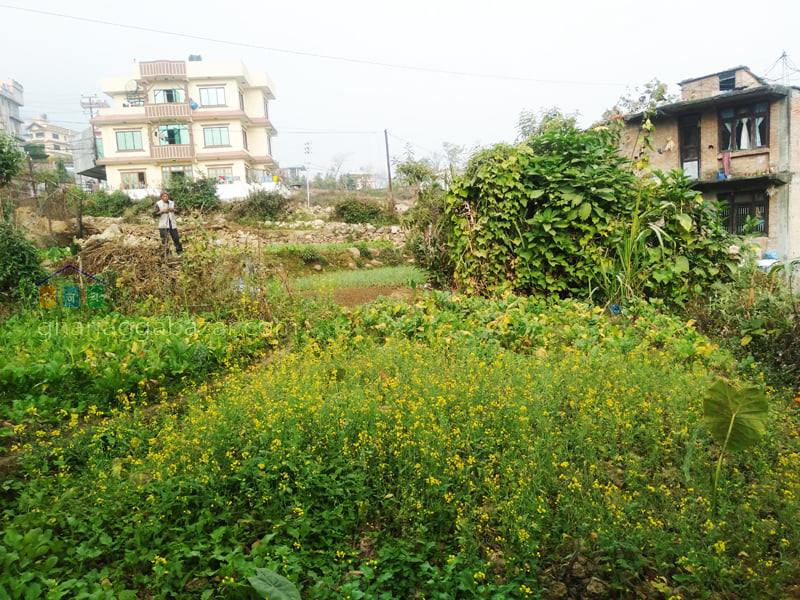 Picture of Chandragiri  Municipality, Bagmati Province