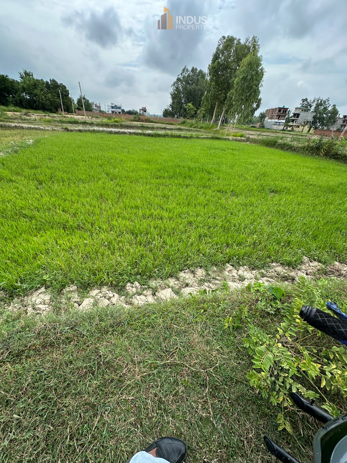 Picture of Janakpur Sub Metropolitan City, Madhesh