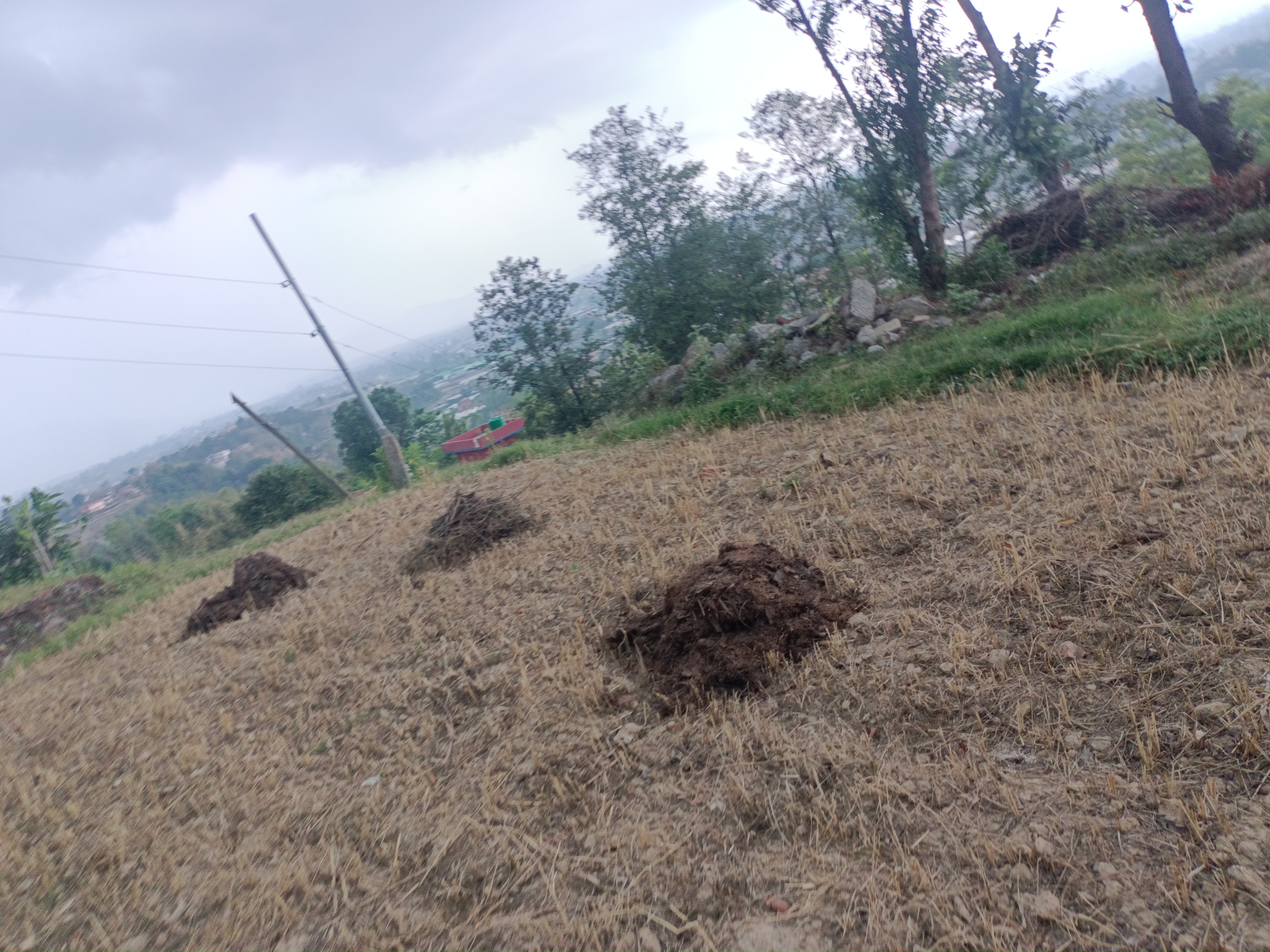 Picture of Changunarayan Municipality, Bagmati
