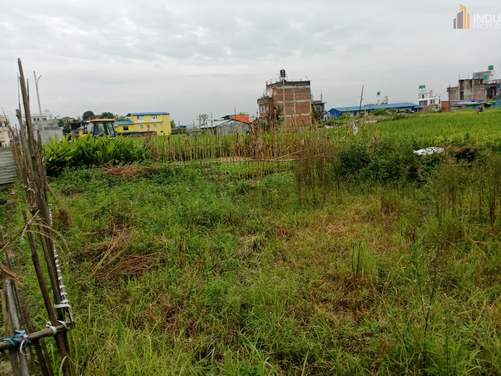 Picture of Mahalaxmi Municipality, Bagmati