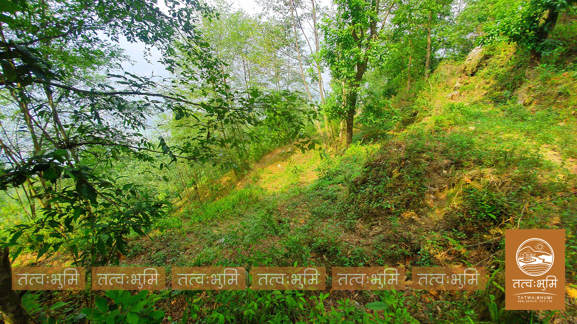 Picture of Shivapuri Rural Municipality, Bagmati