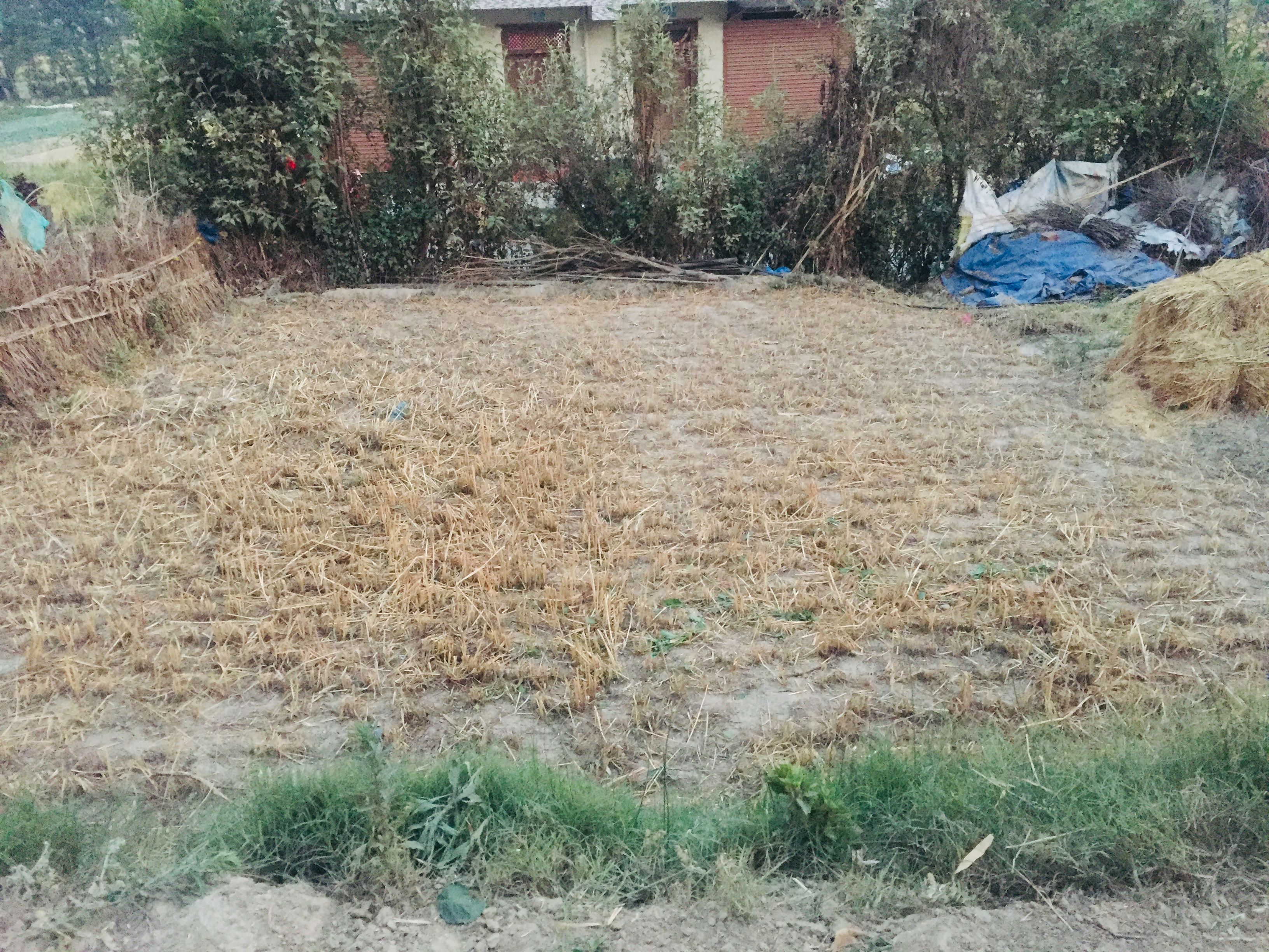 Picture of Changunarayan Municipality, Bagmati