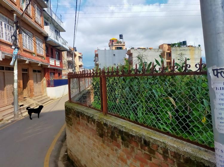 Picture of Lalitpur Metropolitan City, Bagmati Province