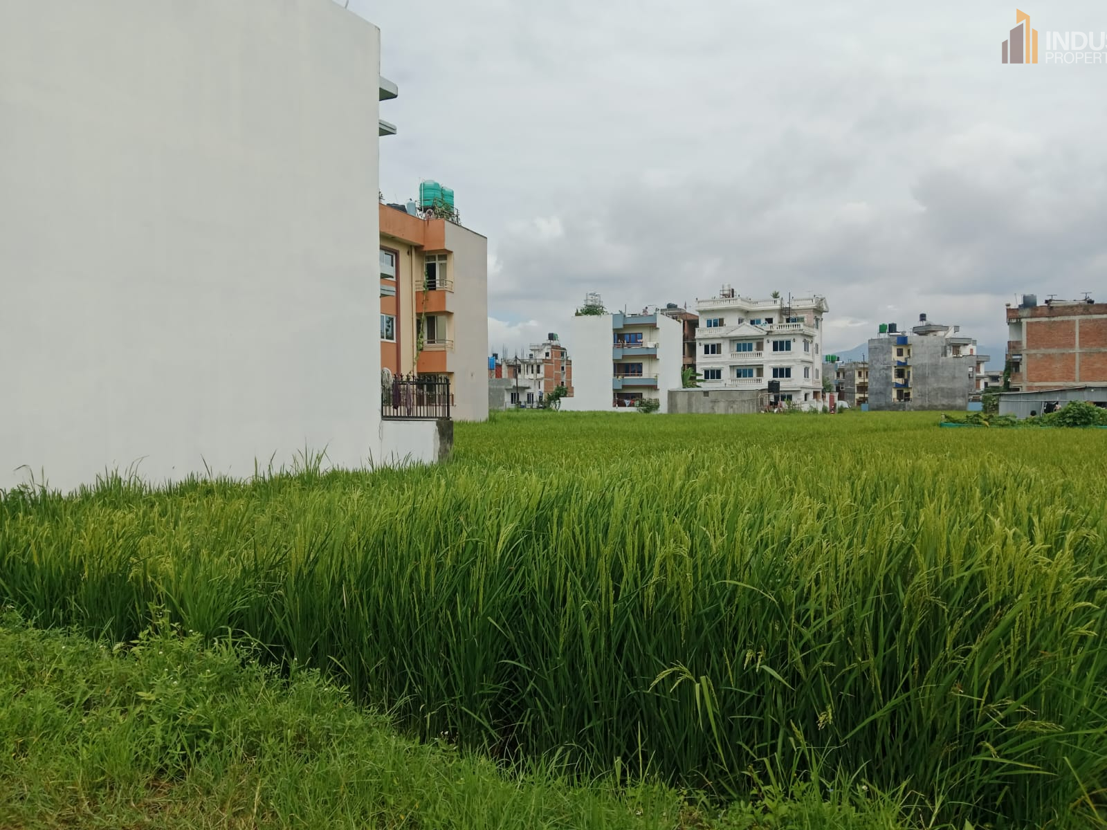 Picture of Mahalaxmi Municipality, Bagmati