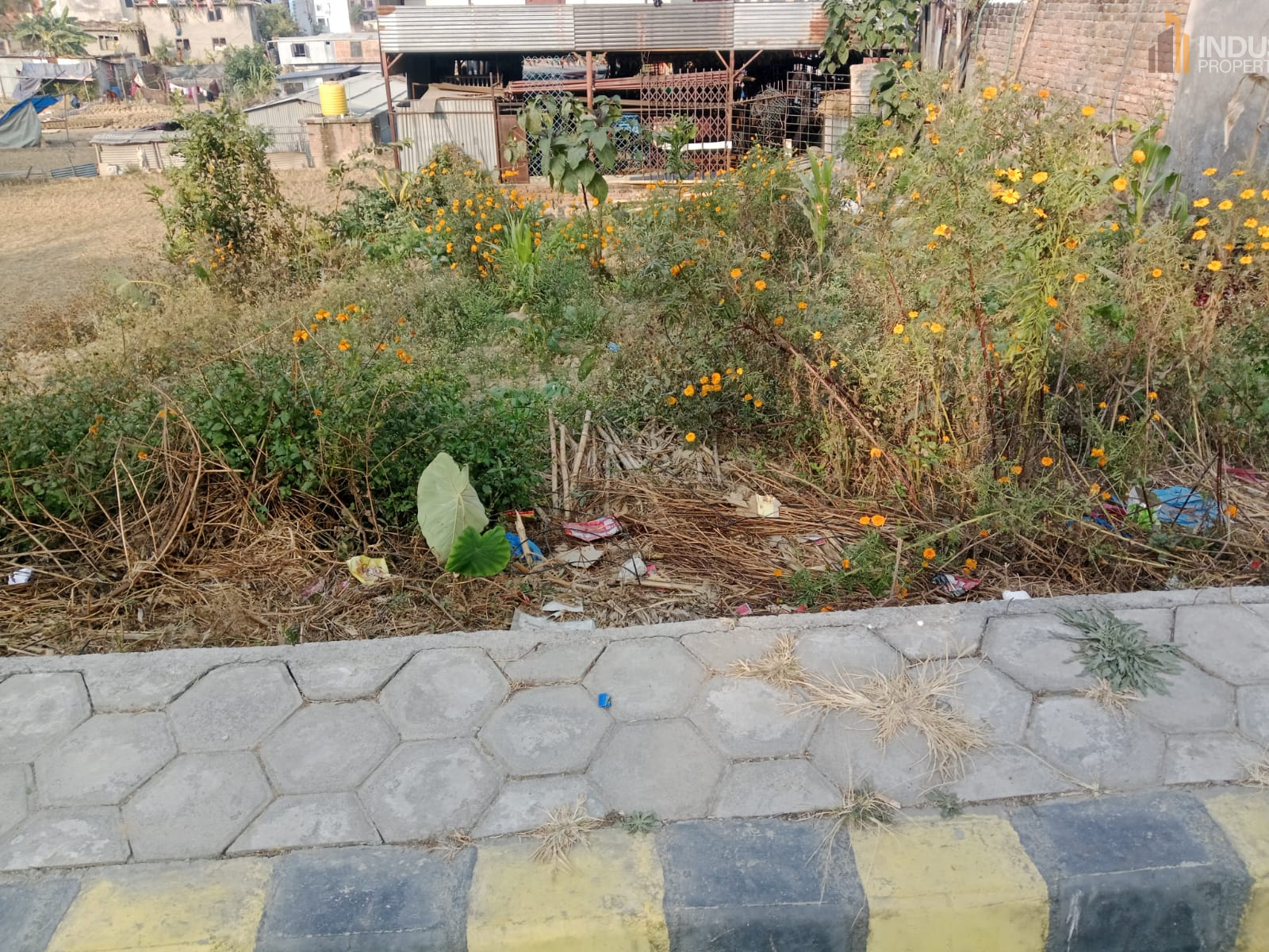 Picture of Mahalaxmi Municipality, Bagmati