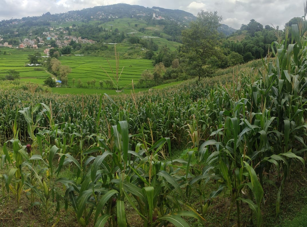 Picture of Changunarayan Municipality, Bagmati Province