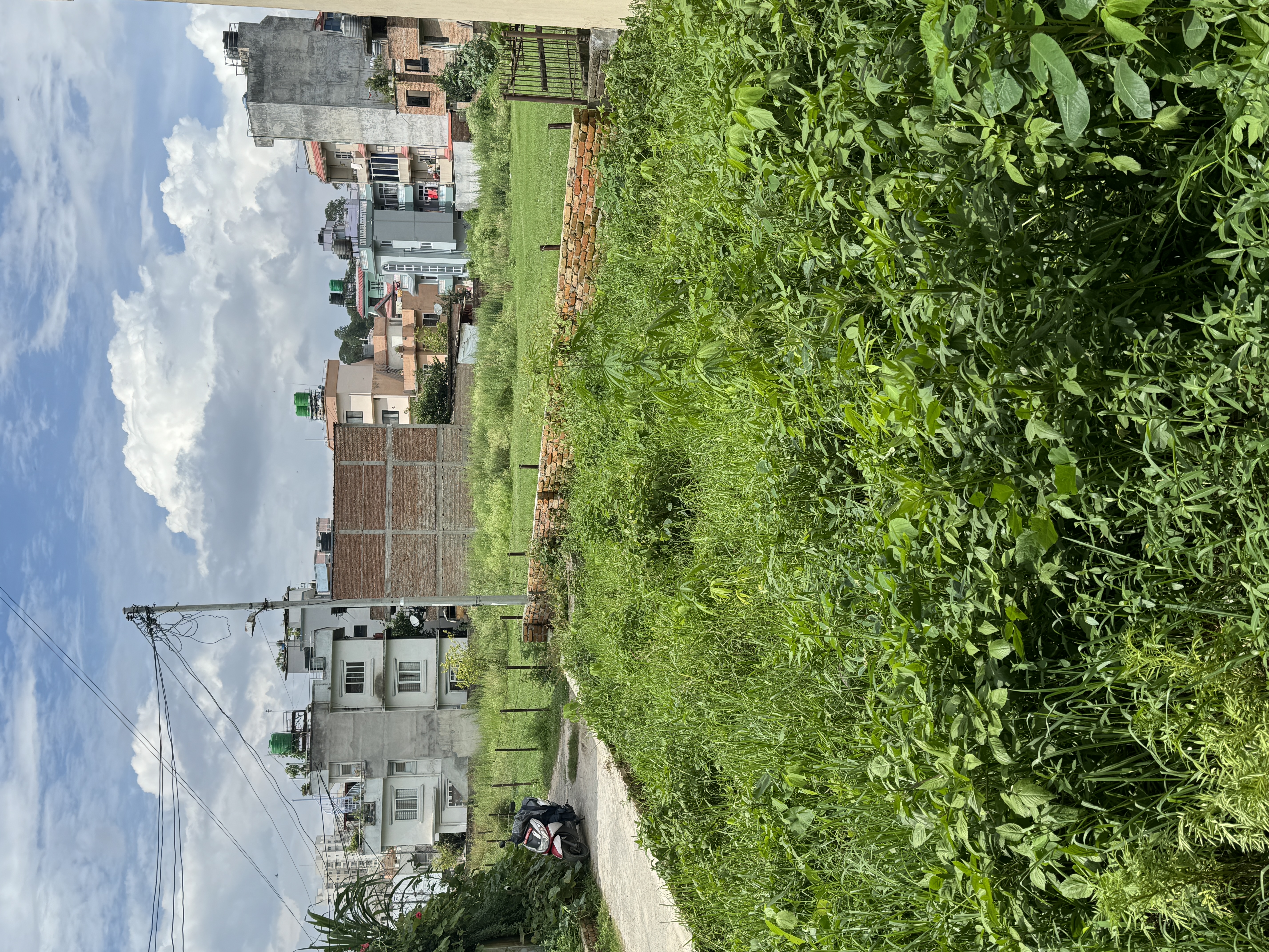 Picture of Lalitpur Metropolitan City, Bagmati