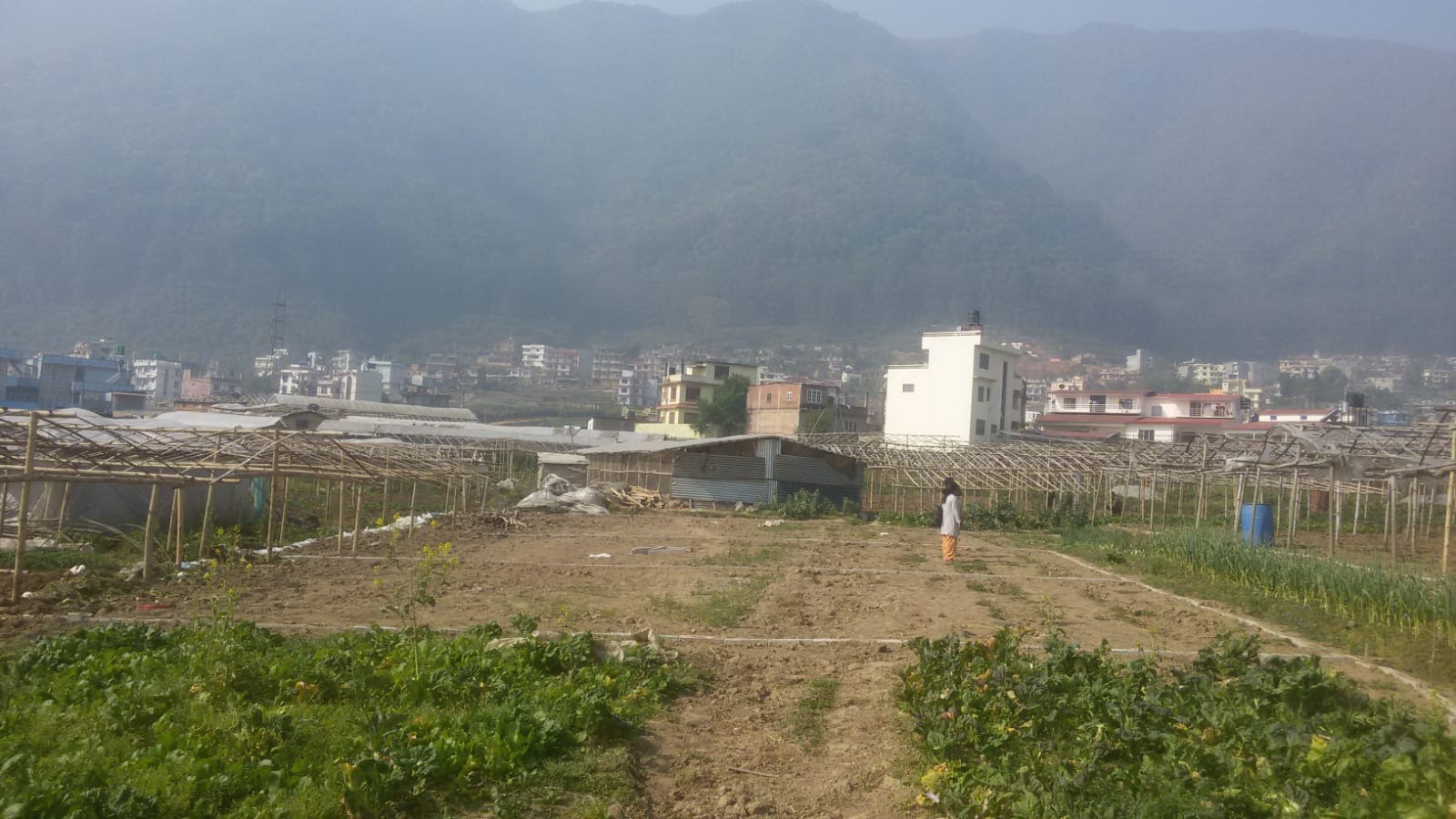 Picture of Tarkeshwor Municipality, Bagmati