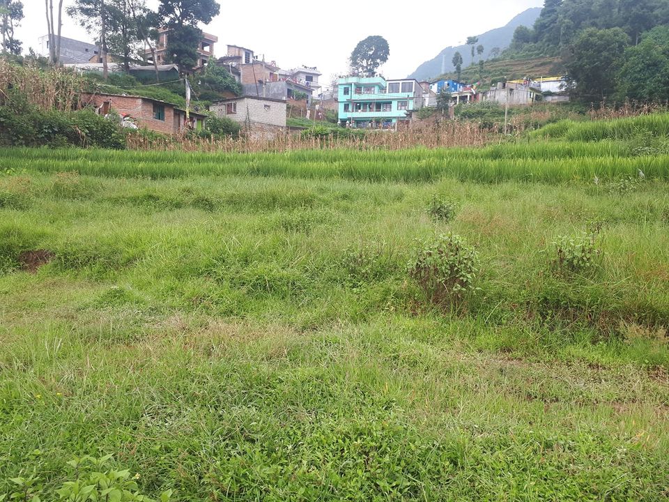 Picture of Chandragiri Municipality, Bagmati Province