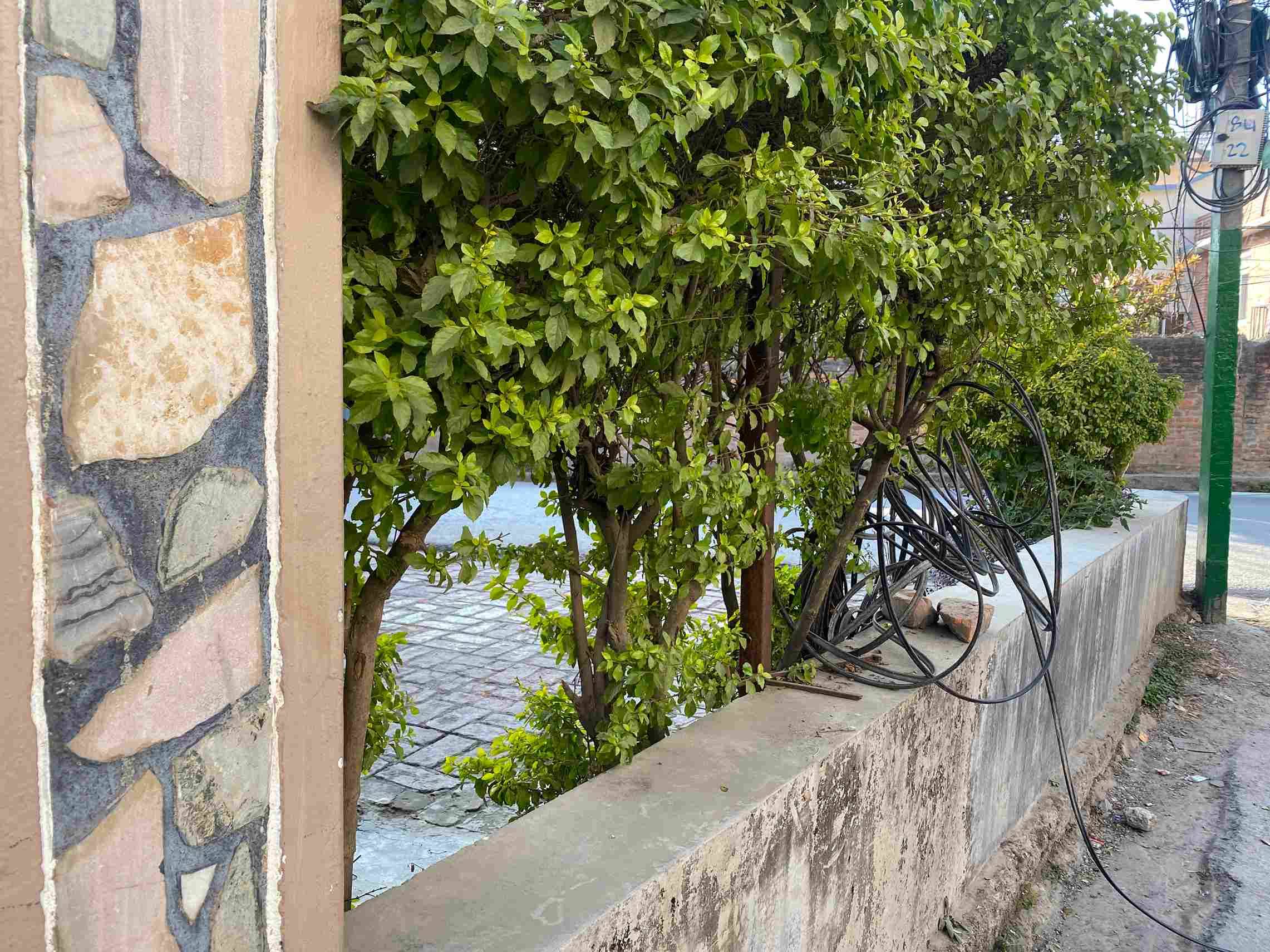Picture of Lalitpur Metropolitan City, Bagmati