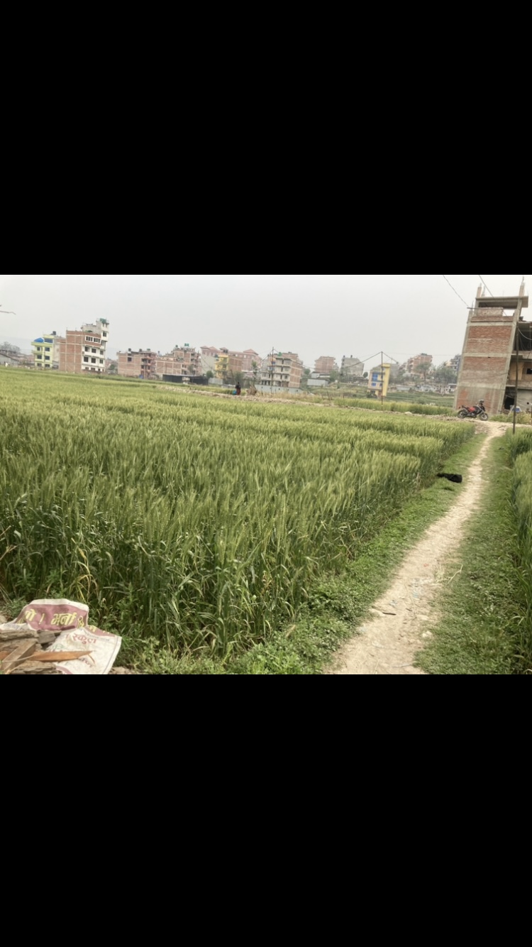 Picture of Changunarayan Municipality, Bagmati