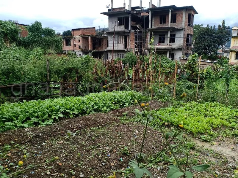 Picture of Chandragiri Municipality, Bagmati Province