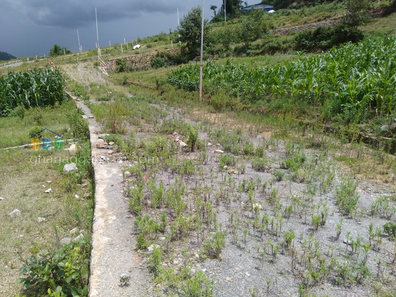 Picture of Nagarjun Municipality, Bagmati Province