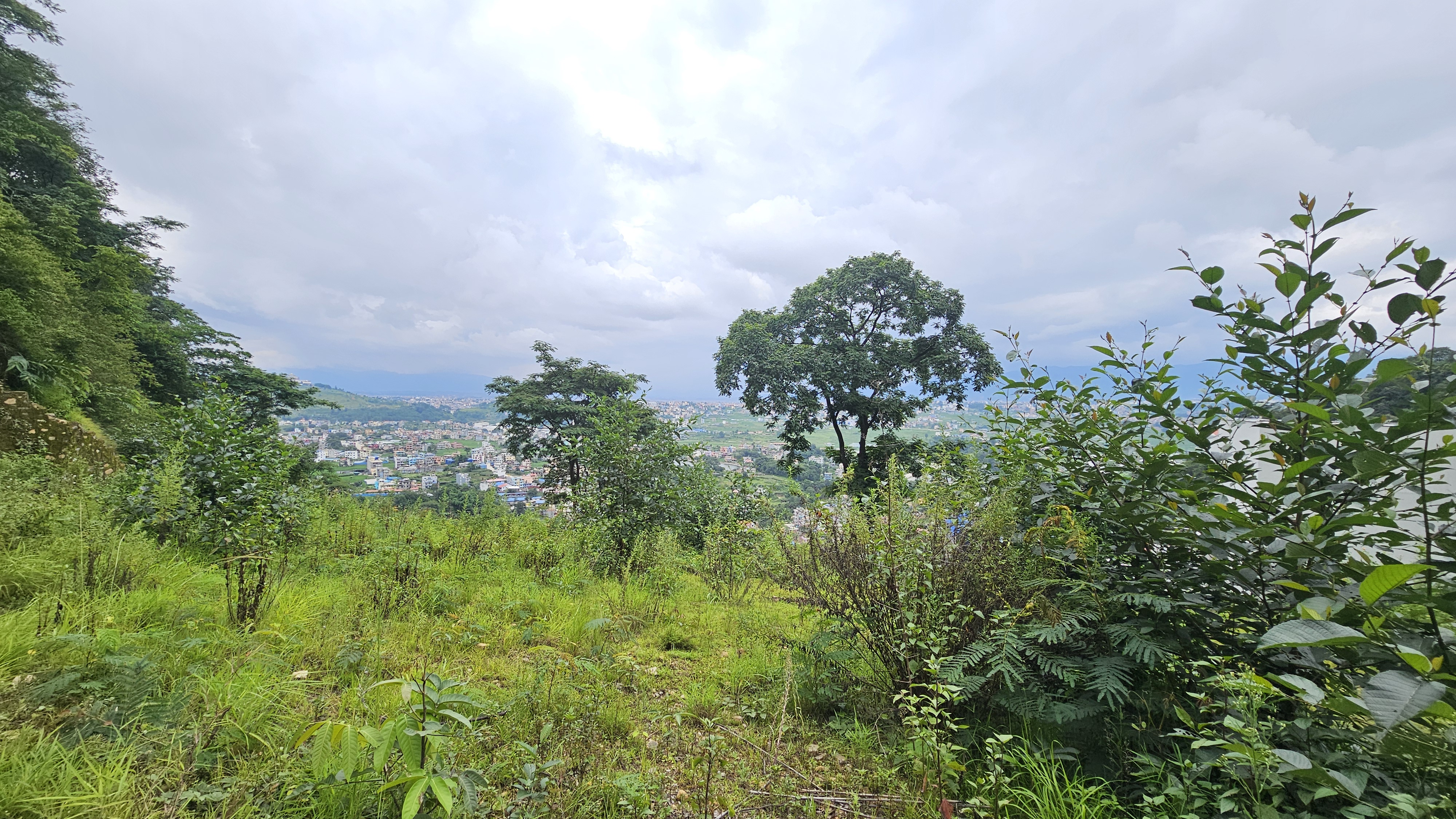 property-image