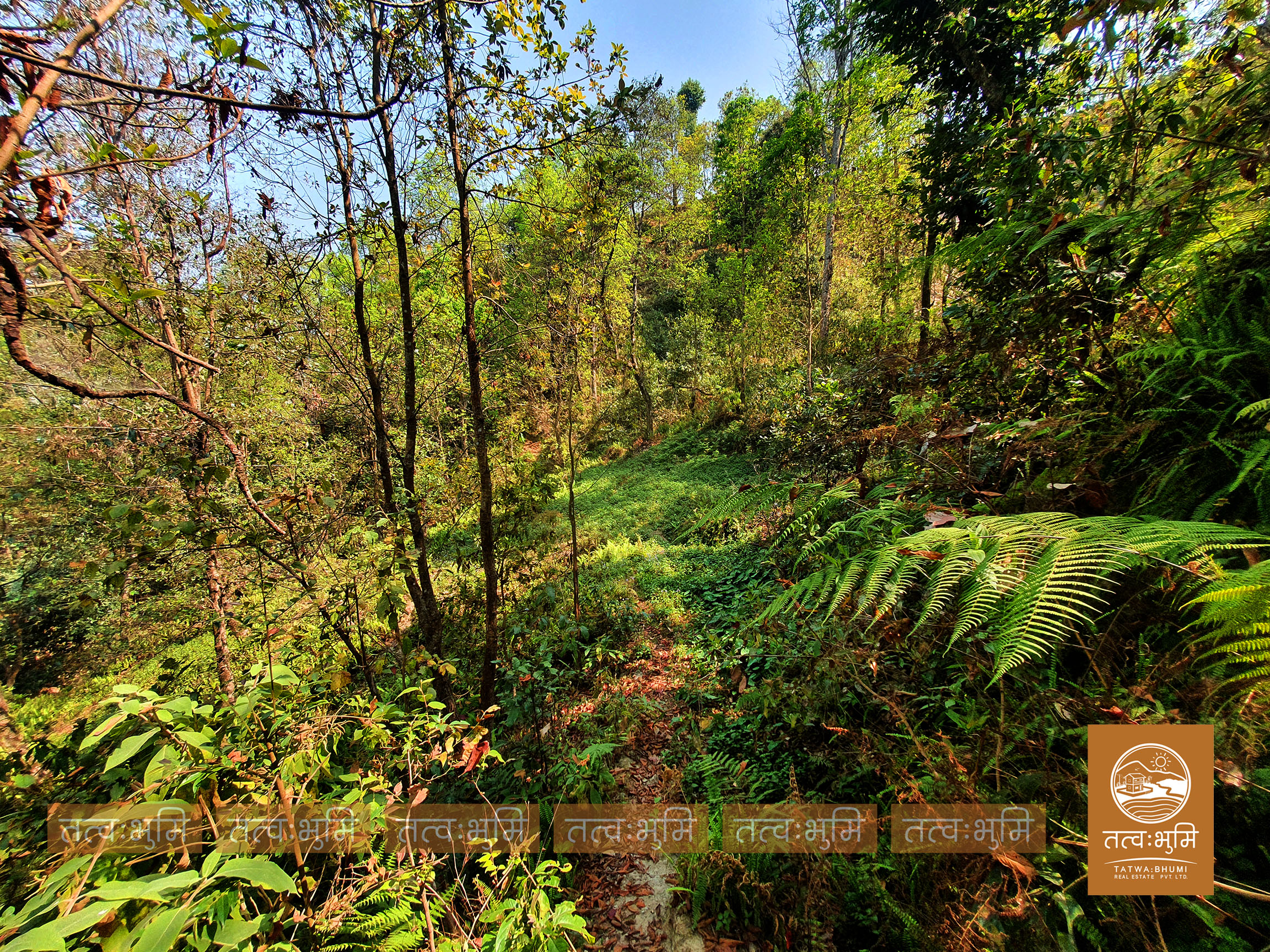 Picture of Shivapuri Rural Municipality, Bagmati