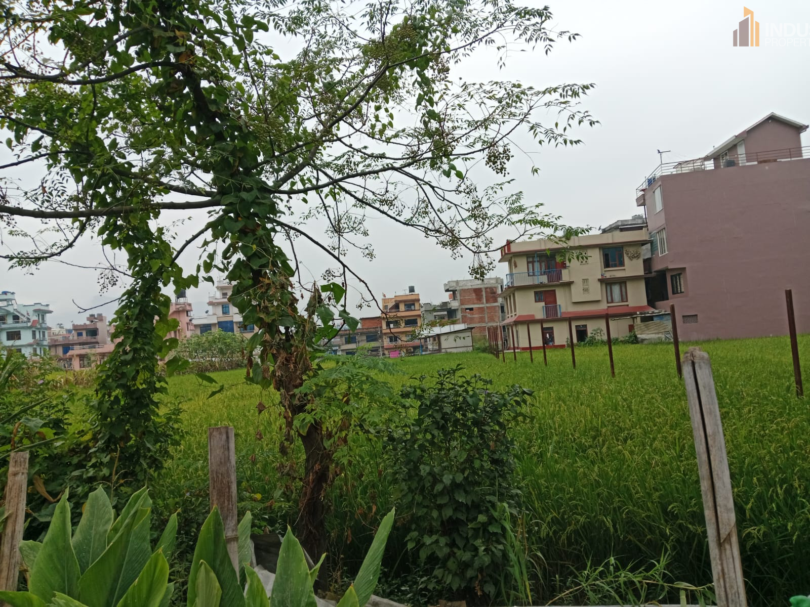 Picture of Mahalaxmi Municipality, Bagmati