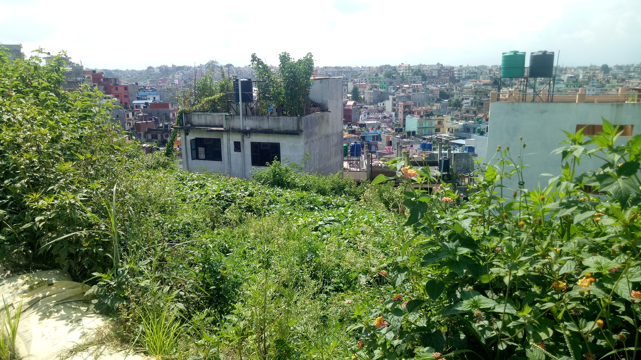 Picture of Budhanilkantha Municipality, Bagmati Province