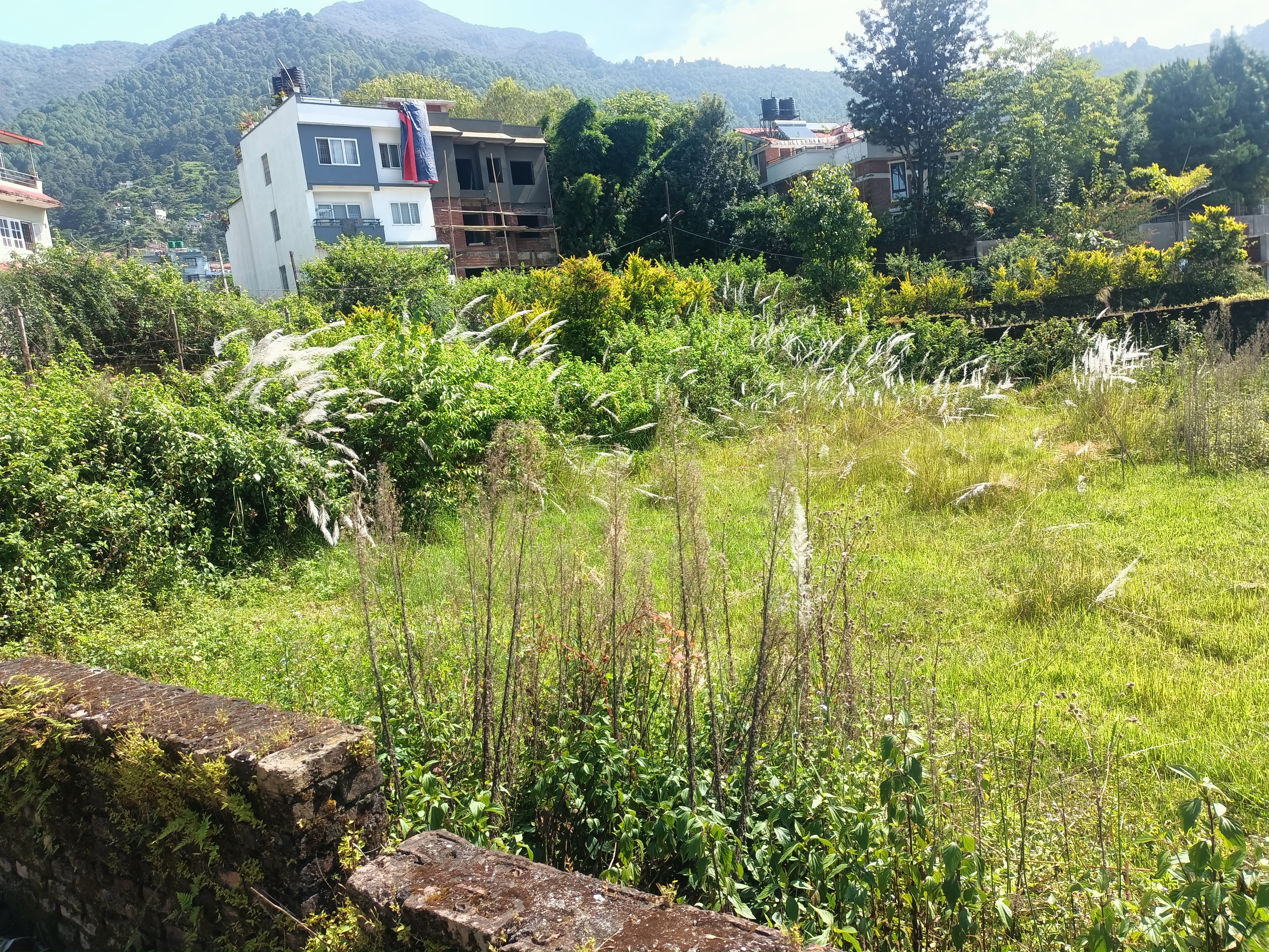 property-image