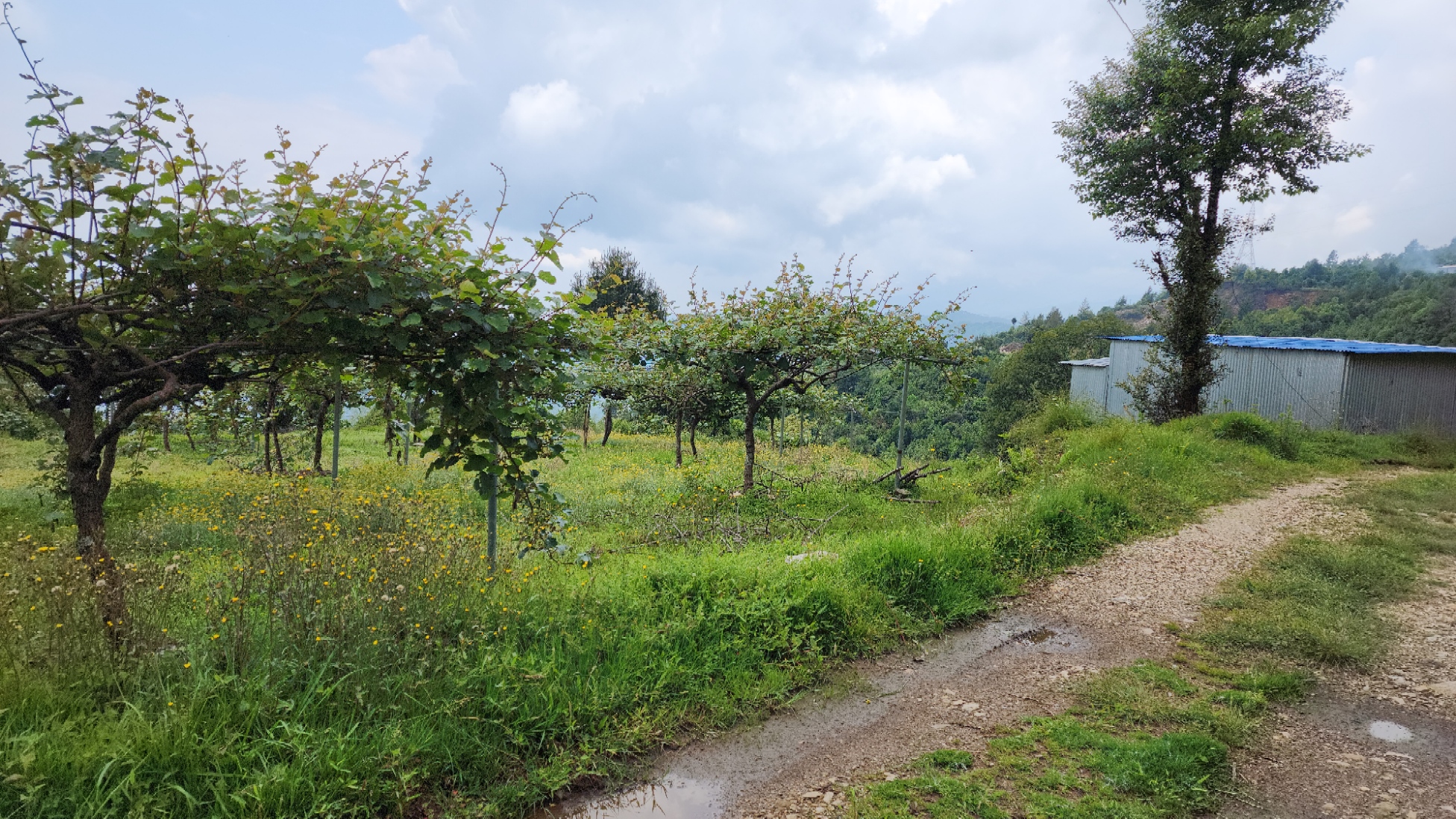 property-image