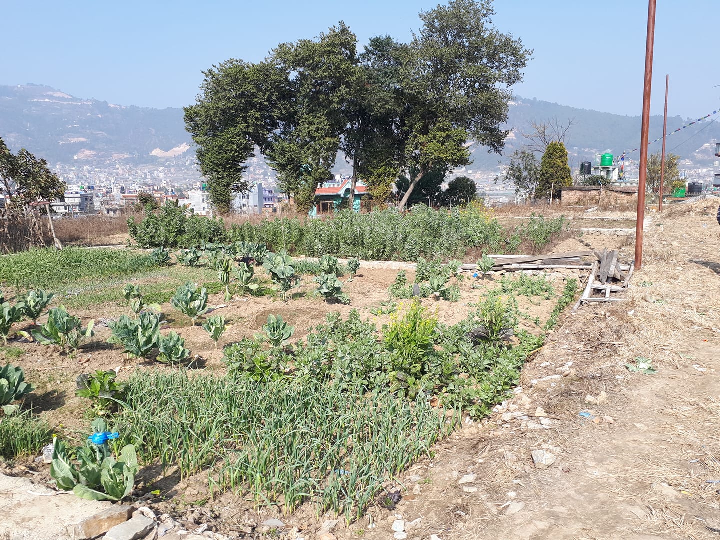 Picture of Chandragiri Municipality, Bagmati Province