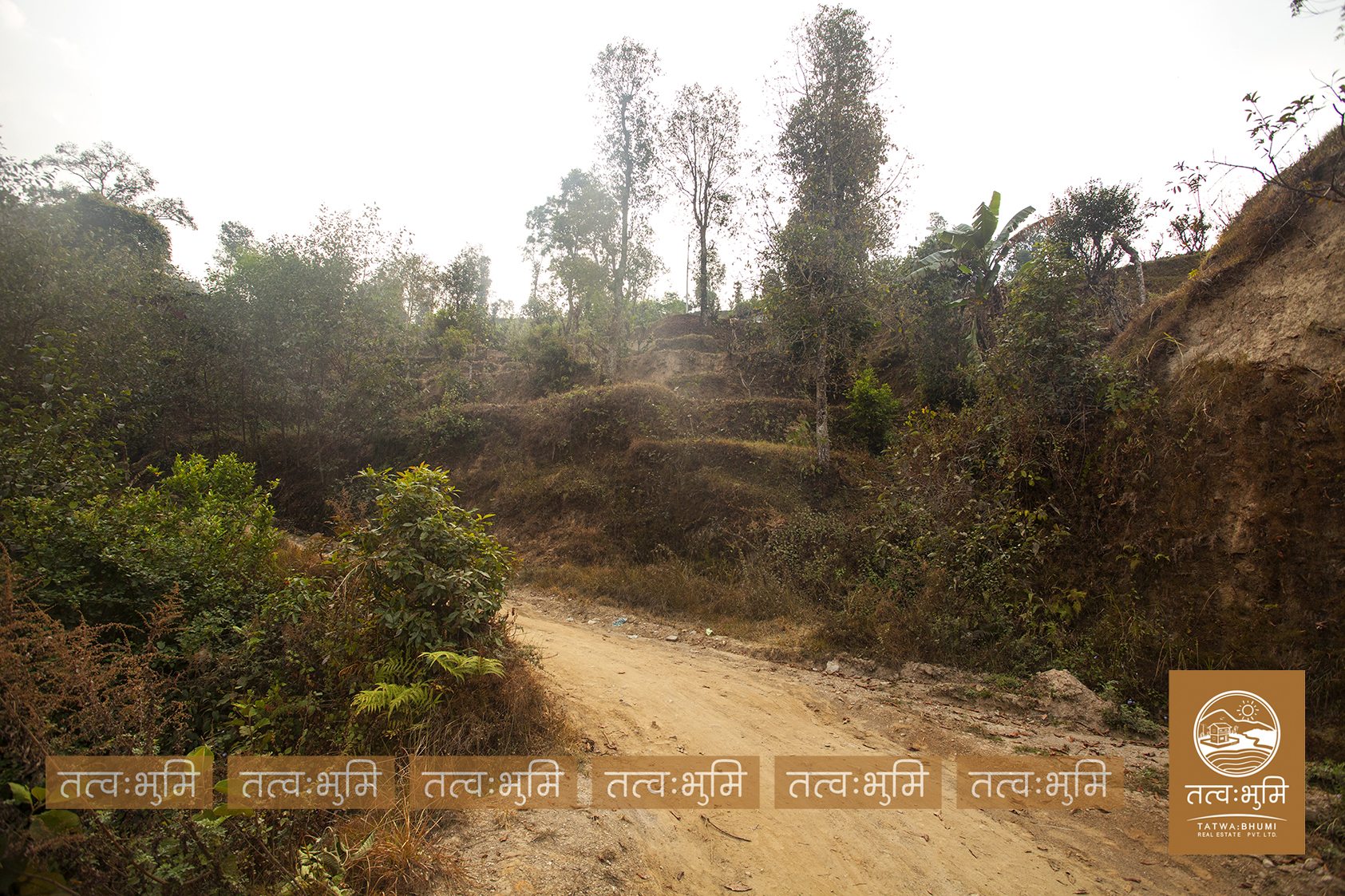 Picture of Shivapuri Rural Municipality, Bagmati