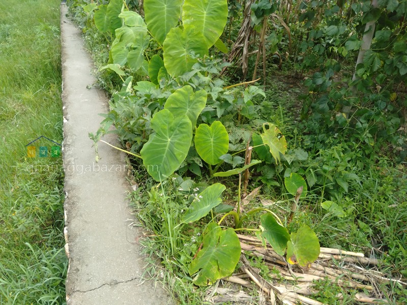 Picture of Budhanilkantha Municipality, Bagmati Province