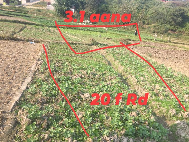 property-image