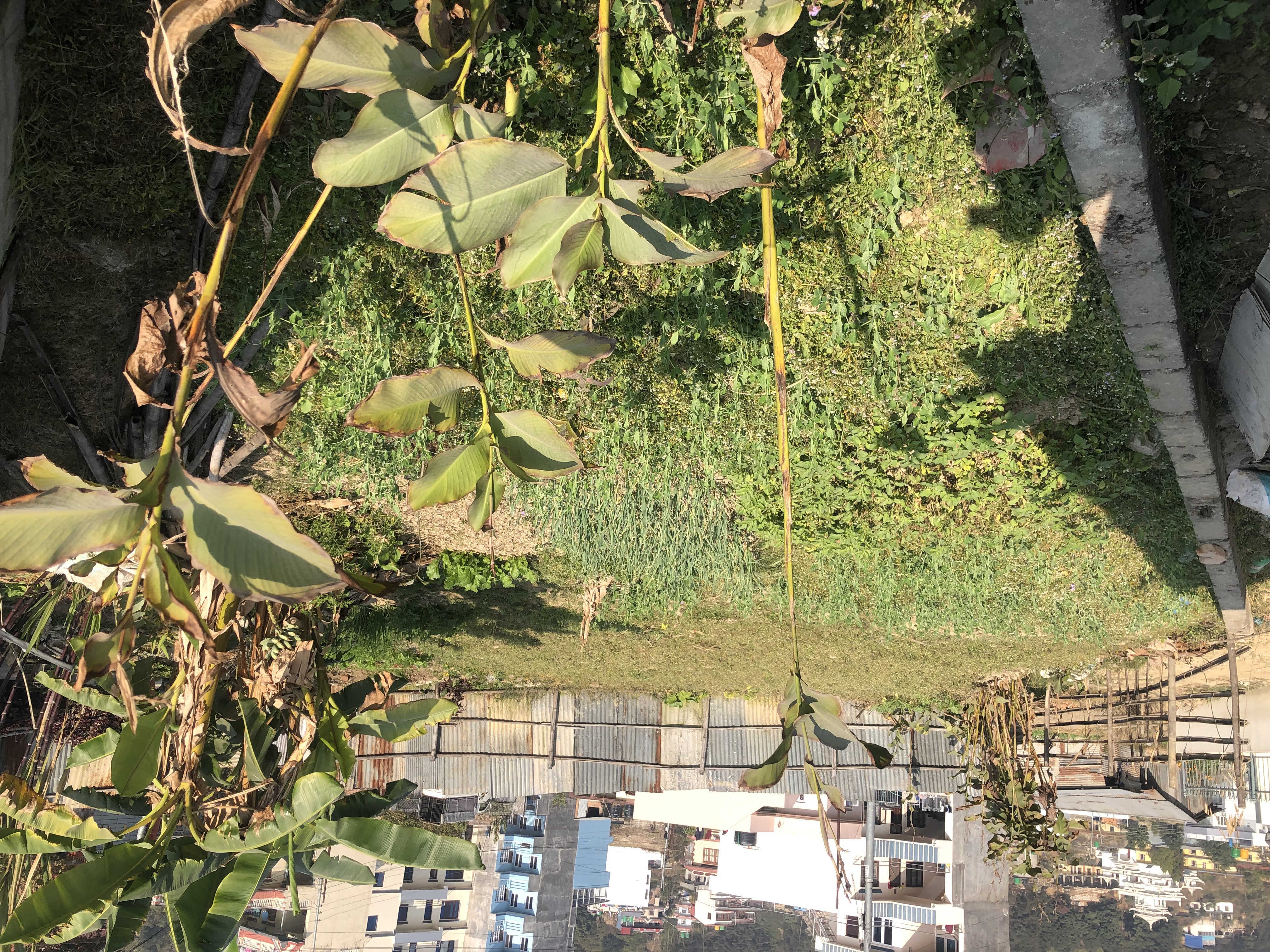 Picture of Budhanilkantha Municipality, Bagmati