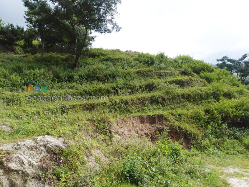 Picture of Budhanilkantha Municipality, Bagmati Province