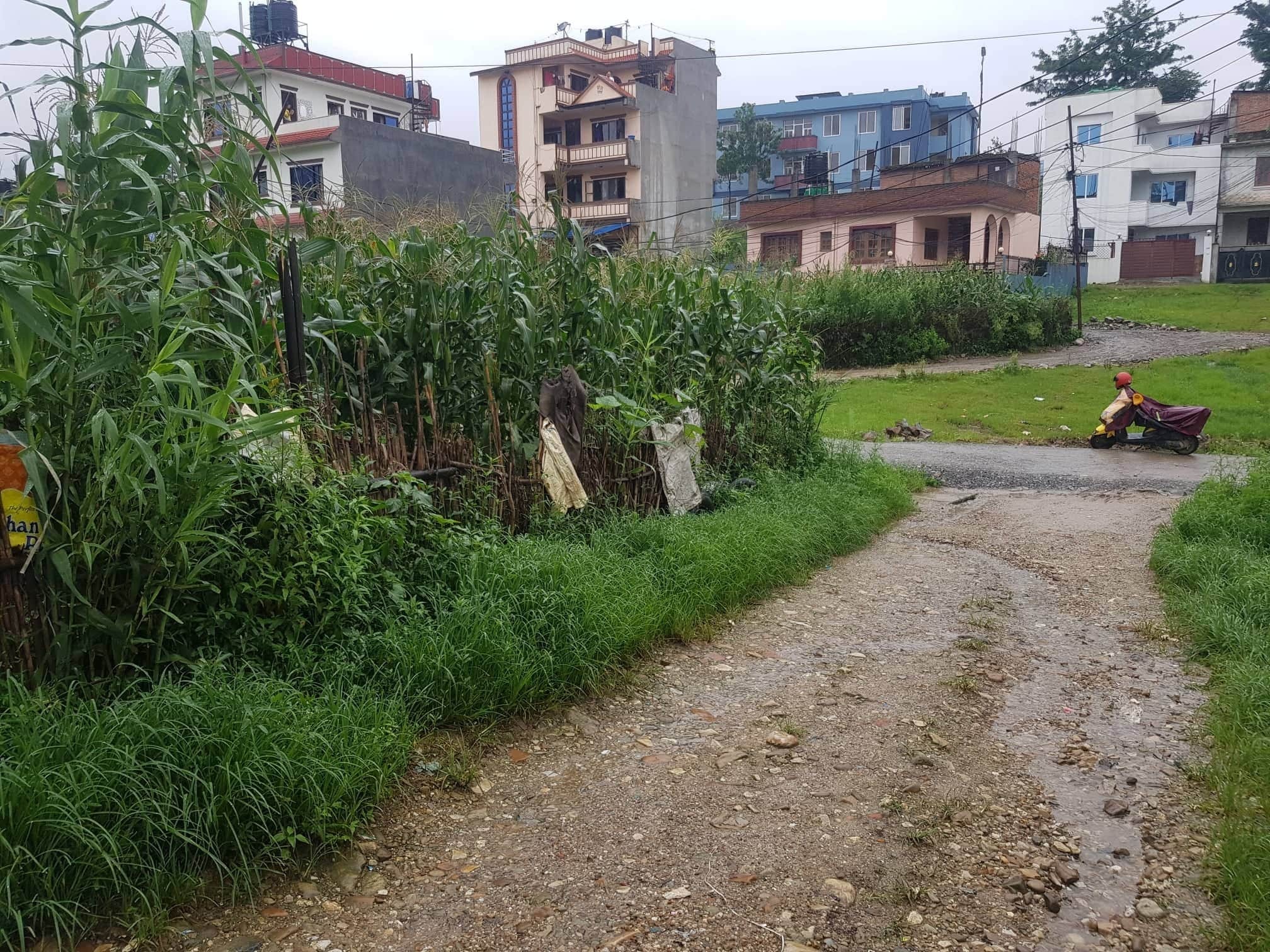 Picture of Chandragiri Municipality, Bagmati Province
