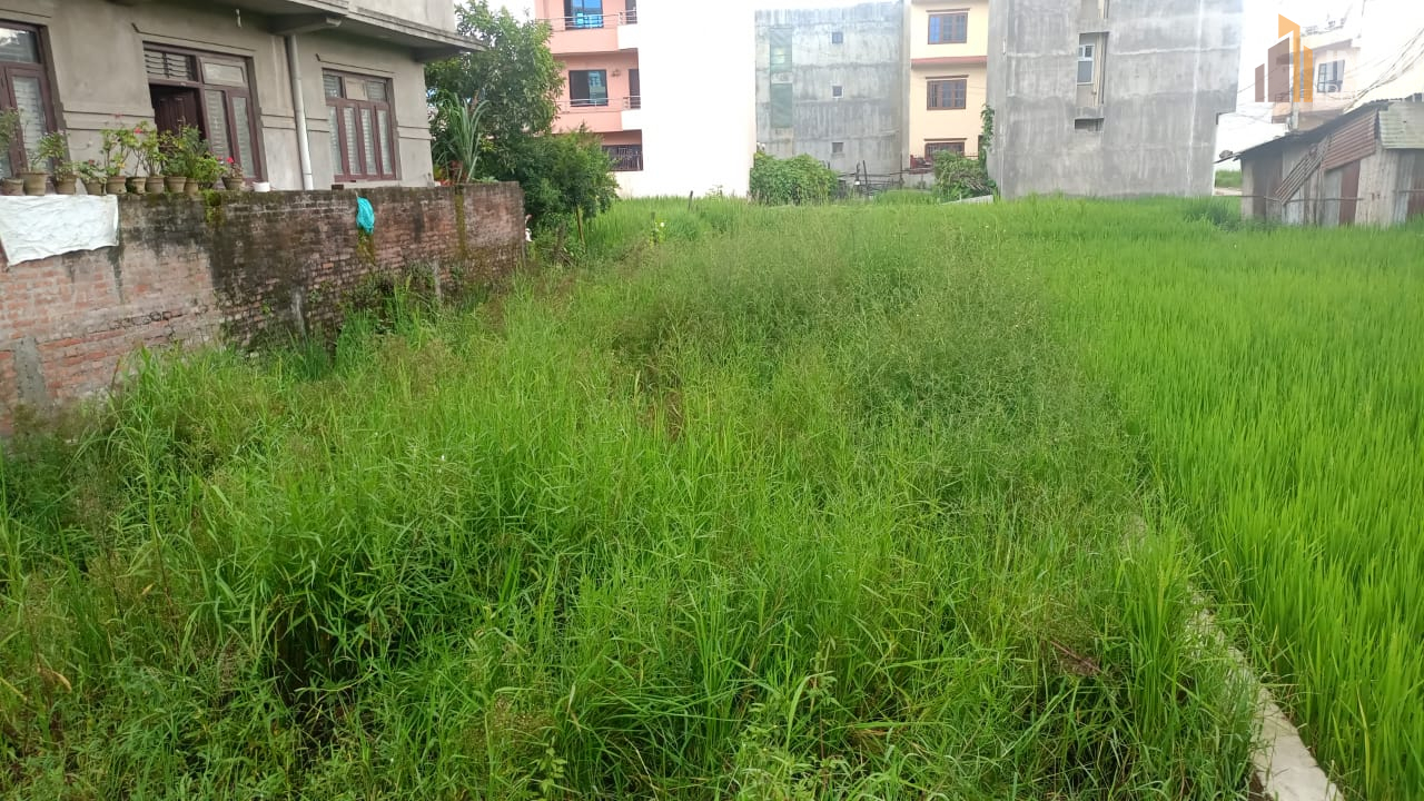 Picture of Madhyapur Thimi Municipality, Bagmati