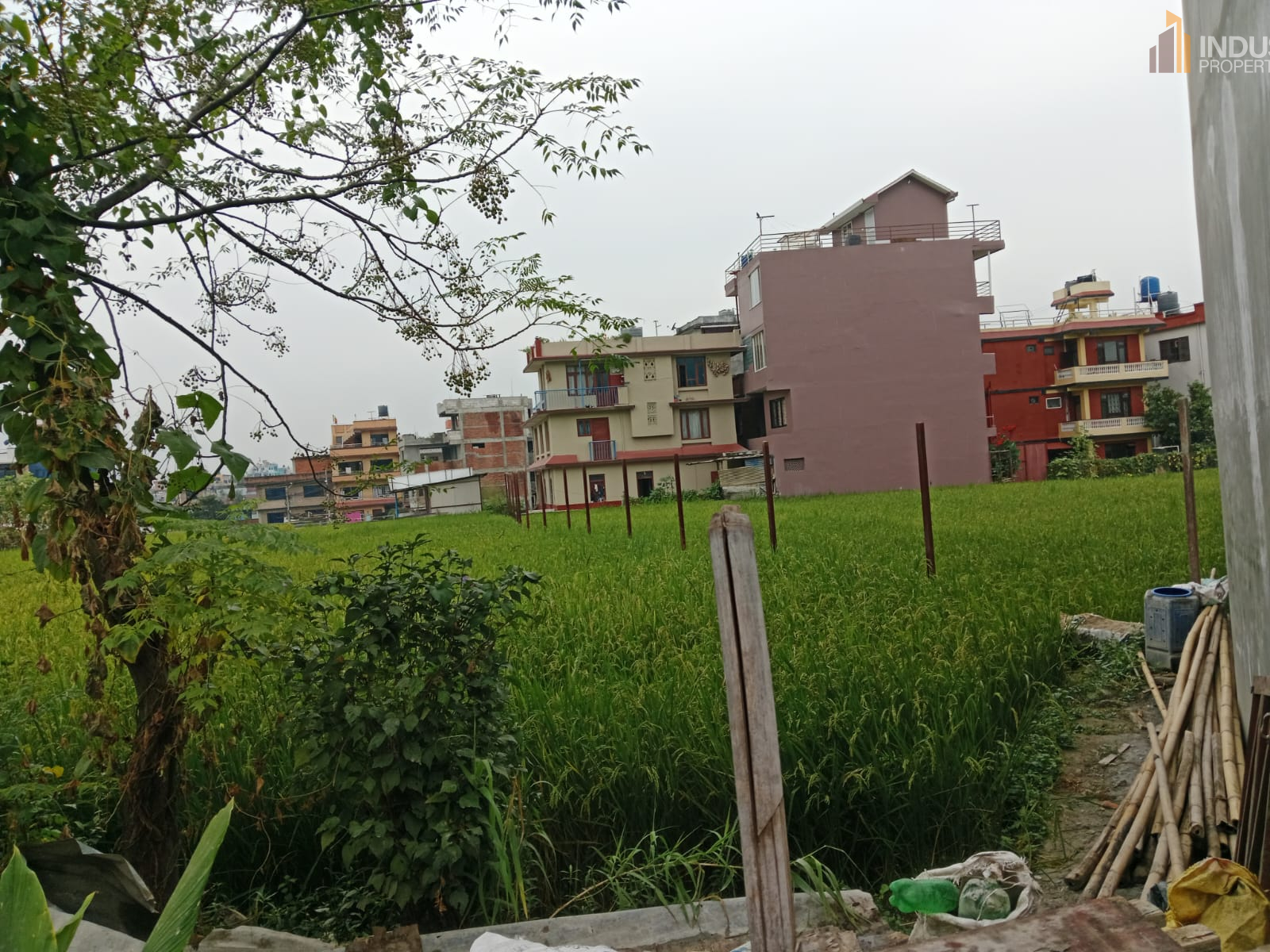 Picture of Mahalaxmi Municipality, Bagmati