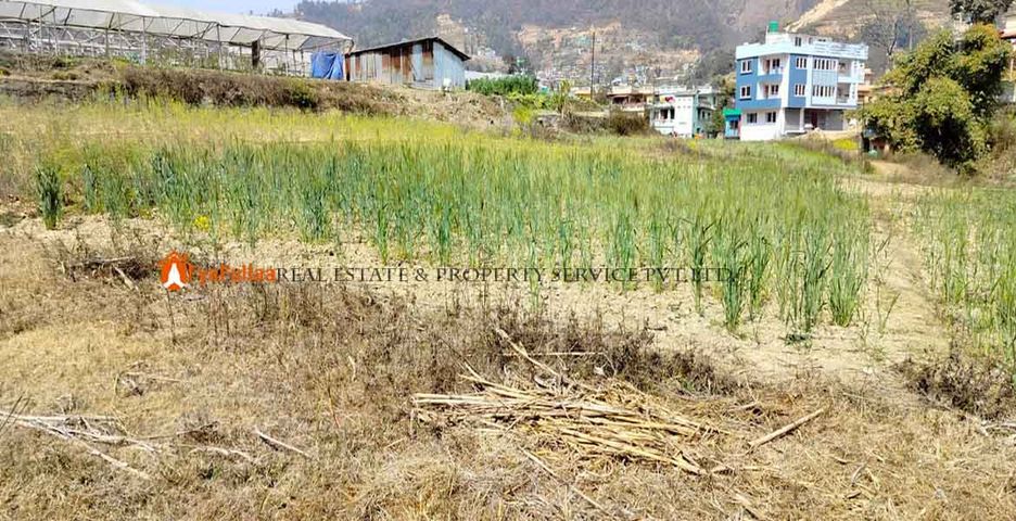 Picture of Nagarjun Municipality, Bagmati