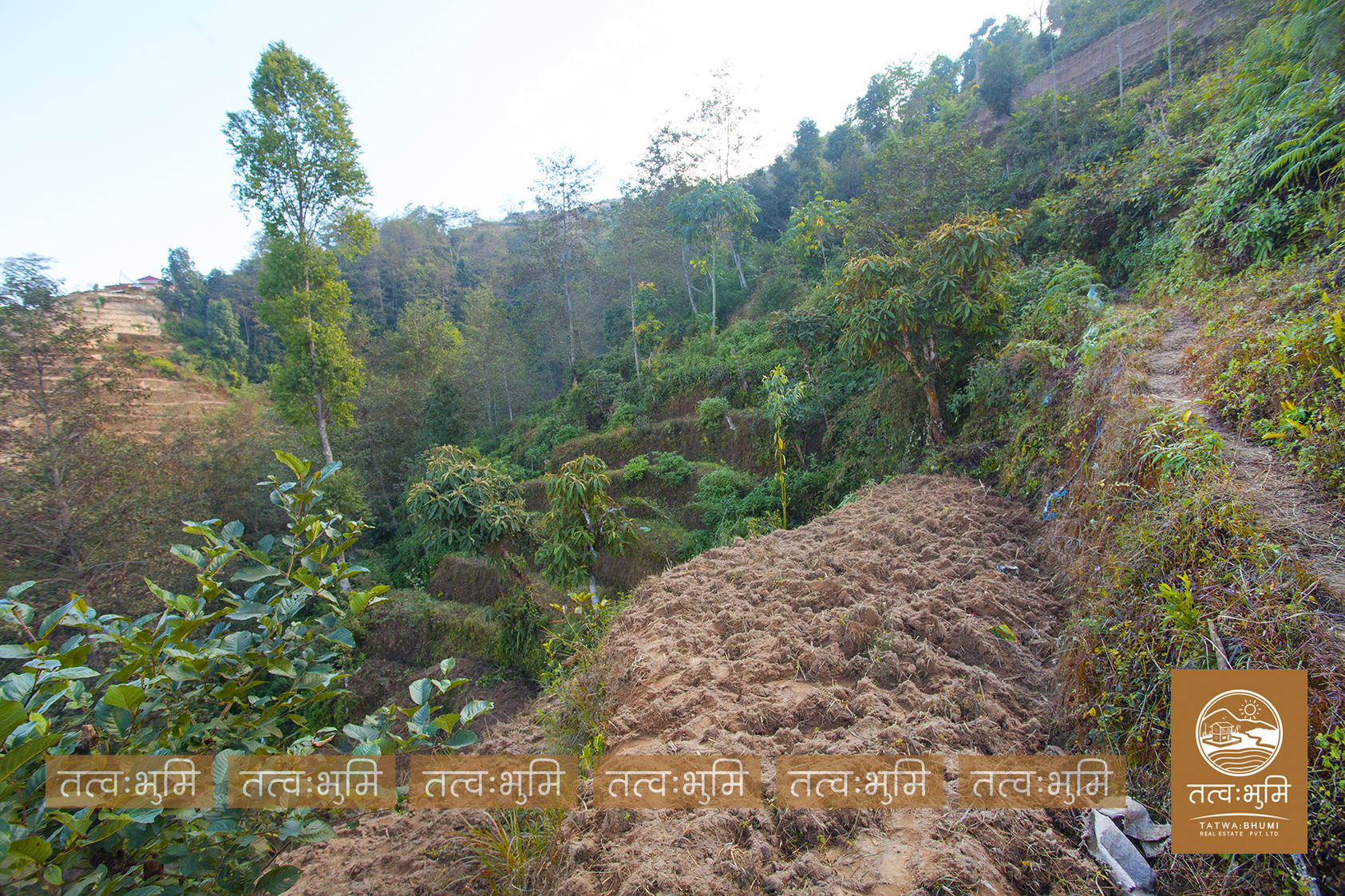 Picture of Shivapuri Rural Municipality, Bagmati