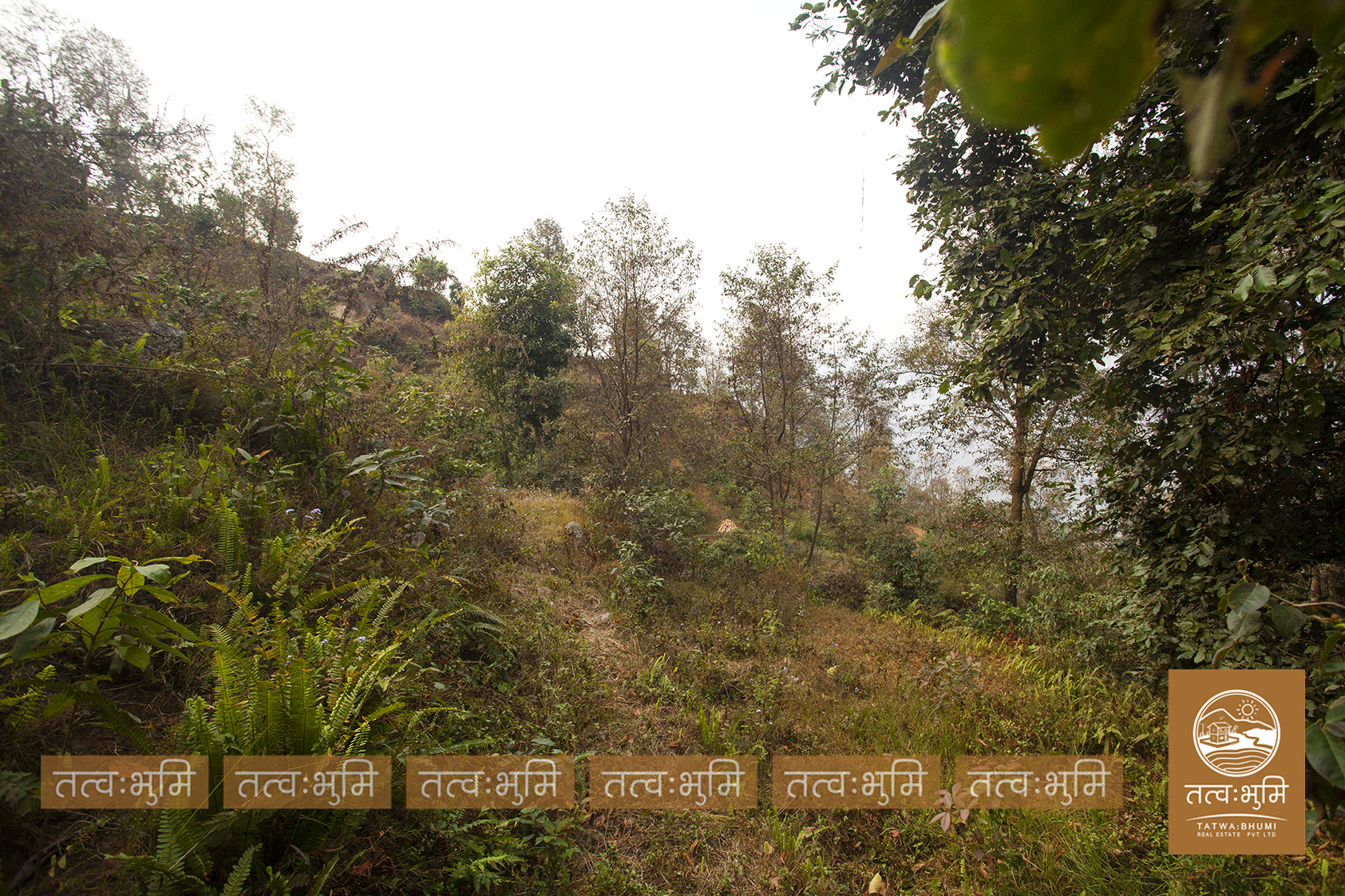 Picture of Shivapuri Rural Municipality, Bagmati