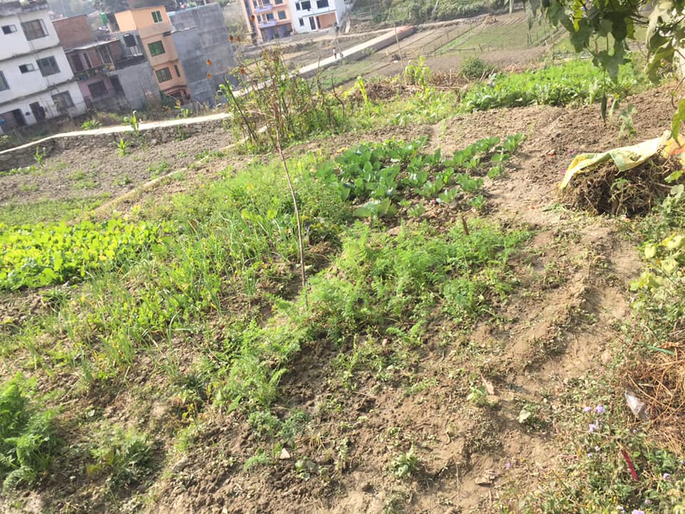 Picture of Tarkeshwor Municipality, Bagmati Province