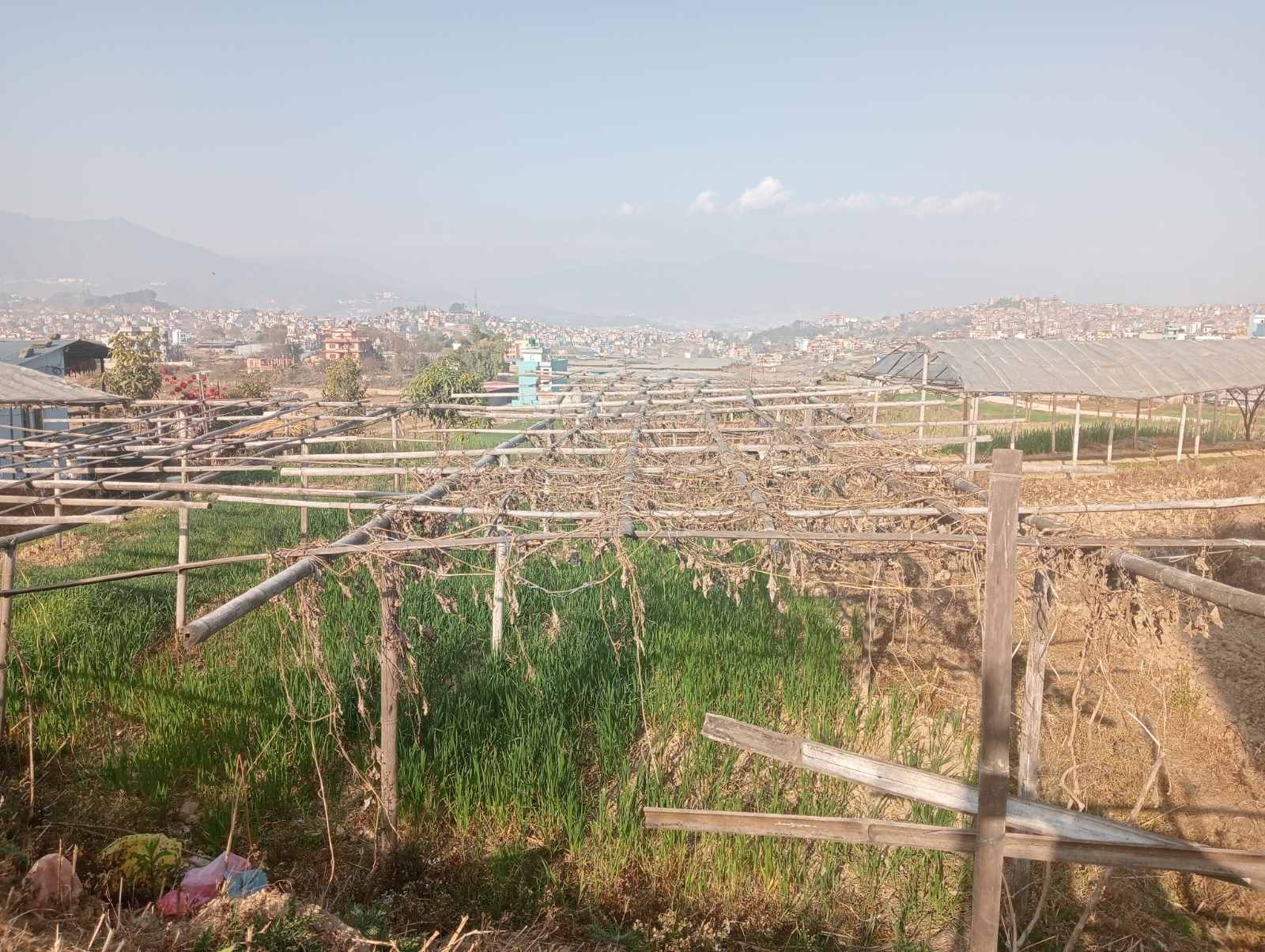 Picture of Kirtipur Municipality, Bagmati
