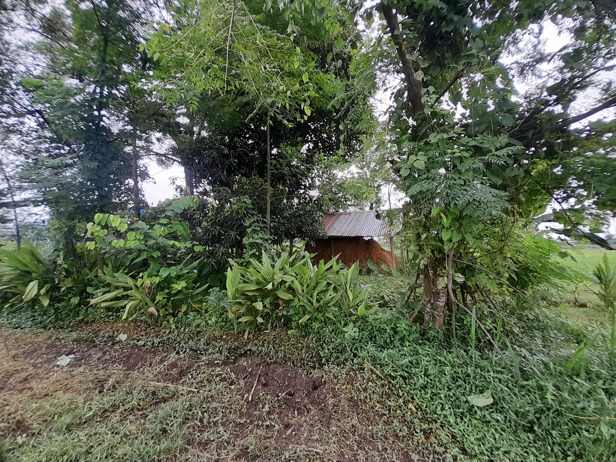 Picture of Bharatpur Metropolitan City, Bagmati