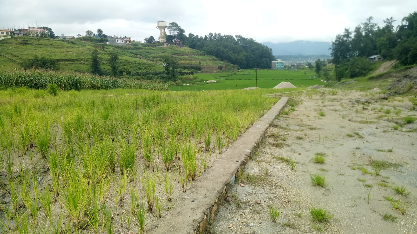 Picture of Kageshwari Manohara  Municipality, Bagmati Province