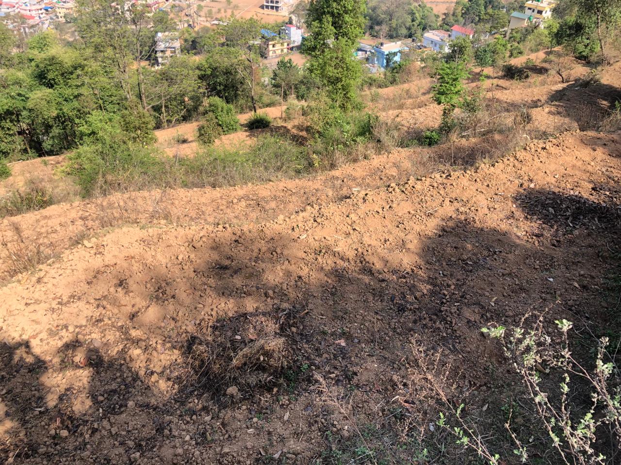 Picture of Kirtipur Municipality, Bagmati