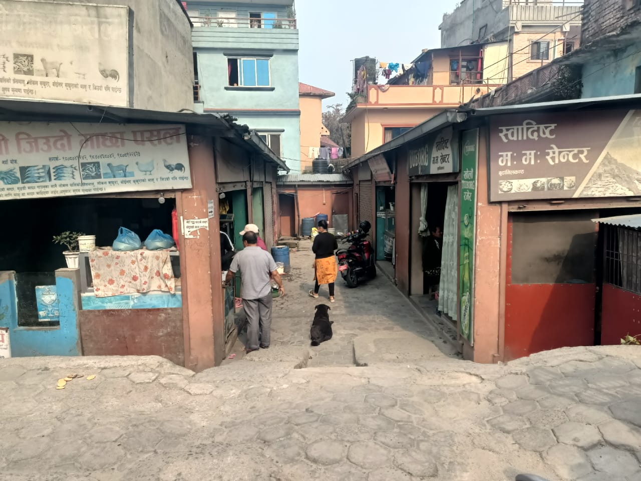 Picture of Budhanilkantha Municipality, Bagmati
