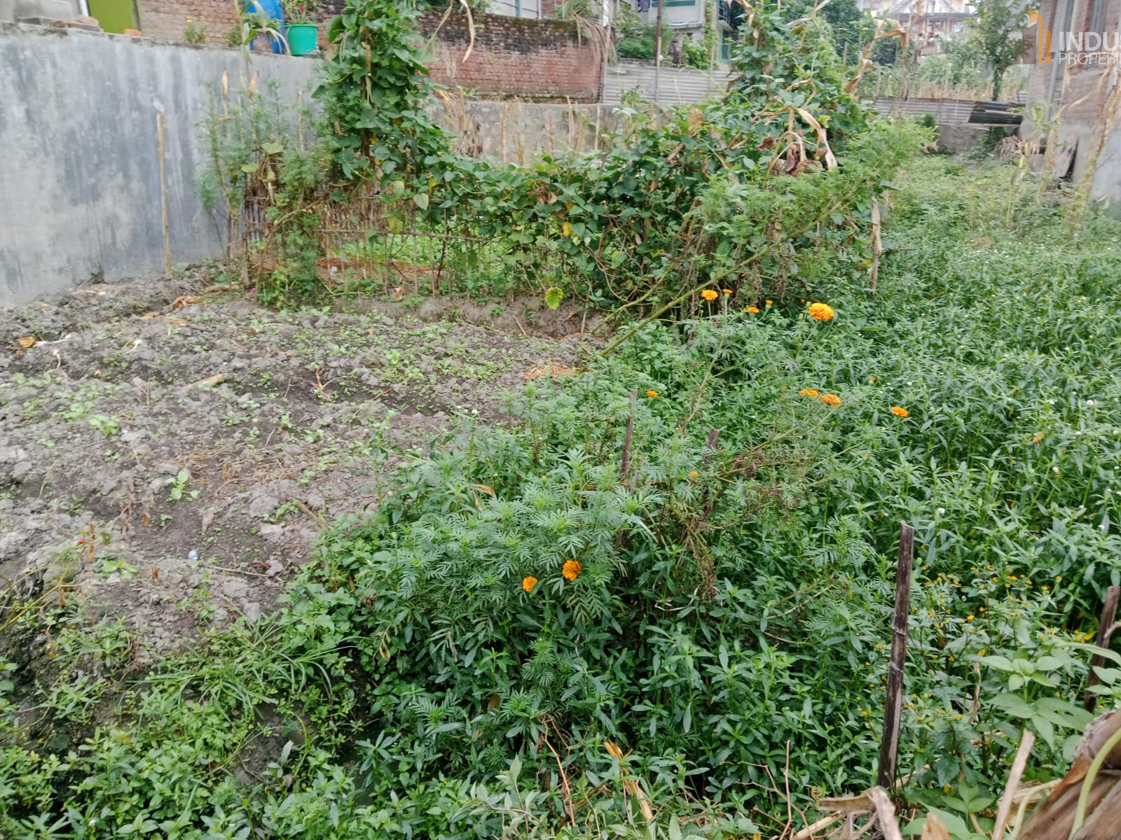 Picture of Mahalaxmi Municipality, Bagmati