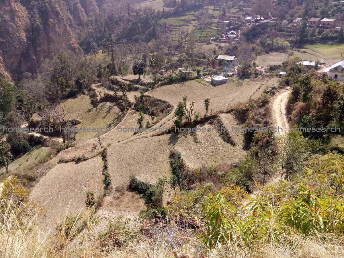 Picture of Lalitpur Metropolitan City, Bagmati Province