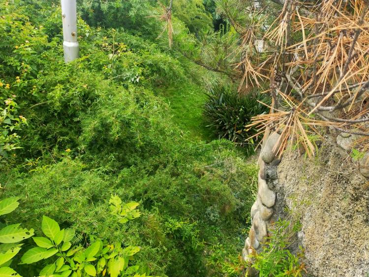 Picture of Lalitpur Metropolitan City, Bagmati Province