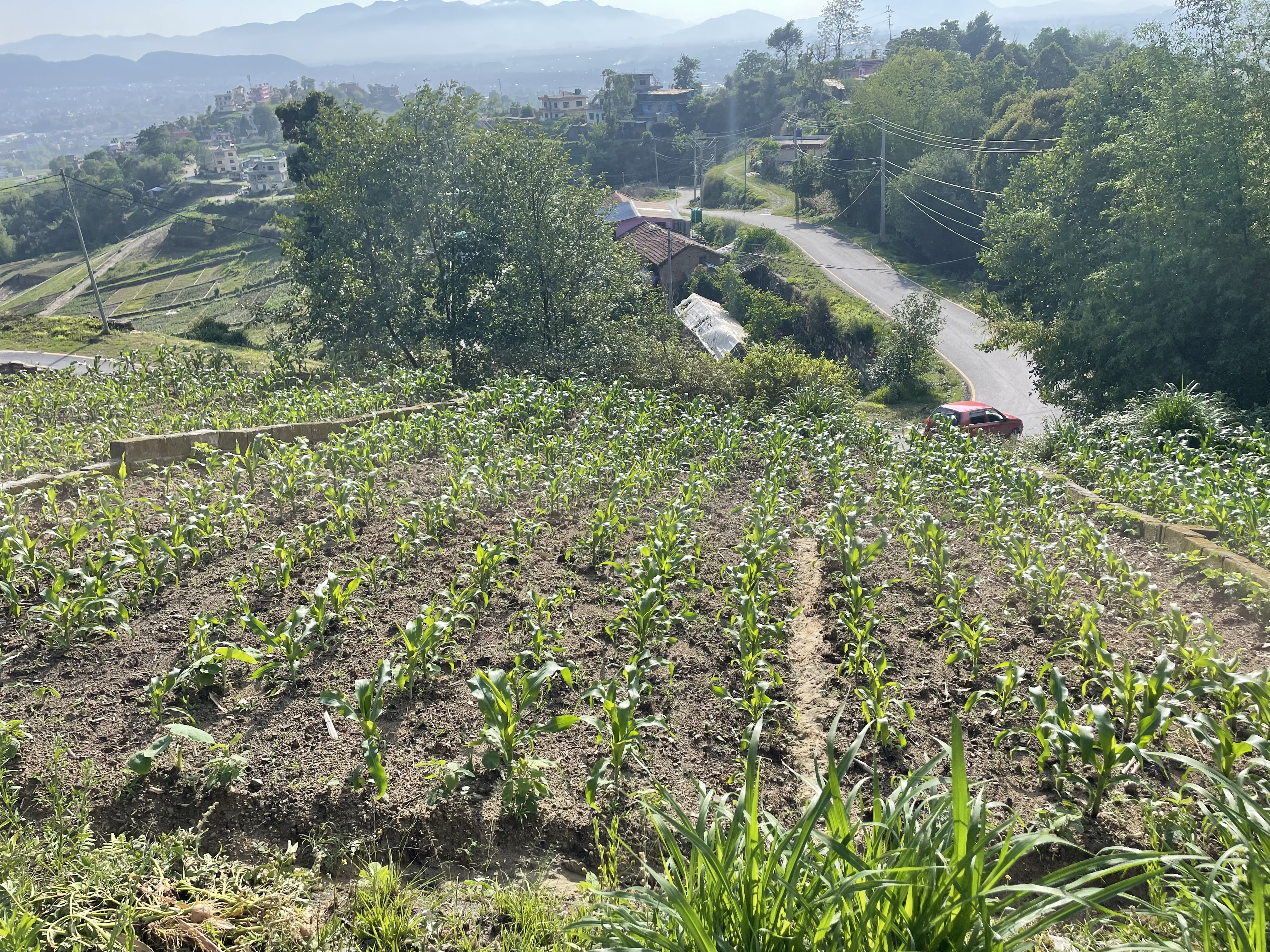 Picture of Changunarayan Municipality, Bagmati