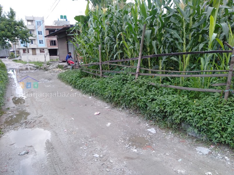 Picture of Tokha  Municipality, Bagmati Province