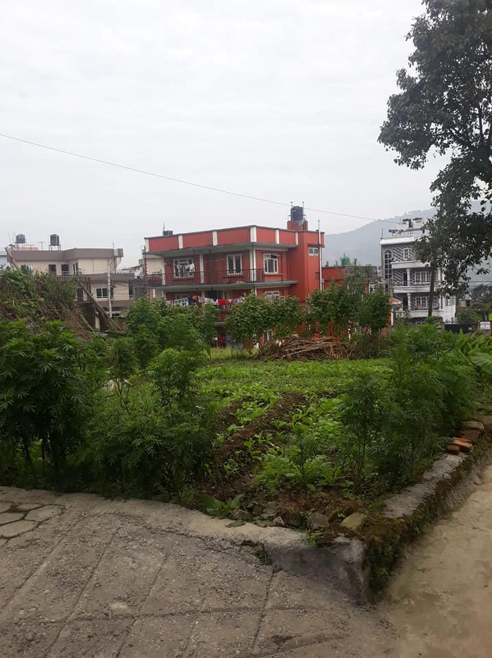 Picture of Chandragiri Municipality, Bagmati Province