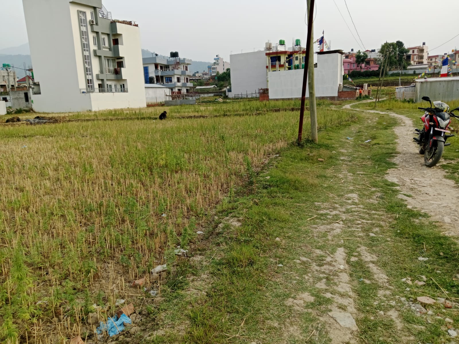 Picture of Mahalaxmi Municipality, Bagmati