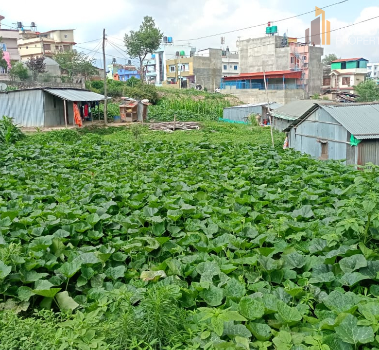 Picture of Kageshwari Manohara Municipality, Bagmati
